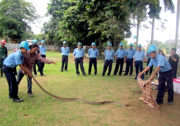 TKCM Hold The Snake Handling Training