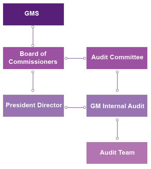 Internal Audit Structure Chart